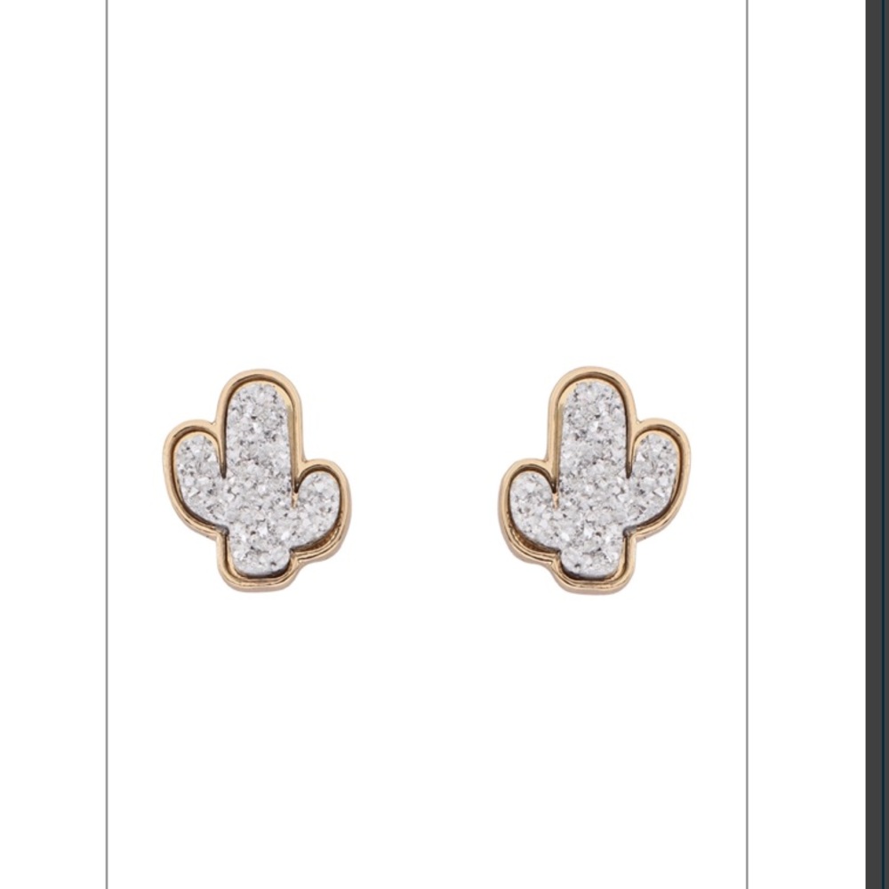Metal Druzy Cactus Post Earrings- Silver